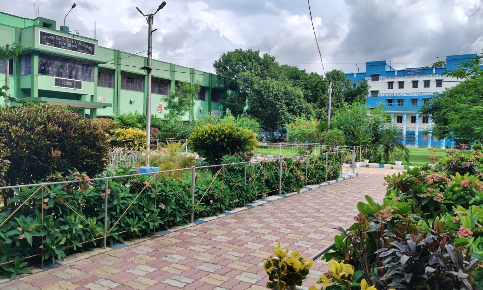Eco Friendly Campus